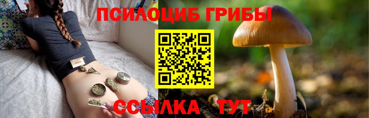 Псилоцибиновые грибы Psilocybine cubensis Сызрань